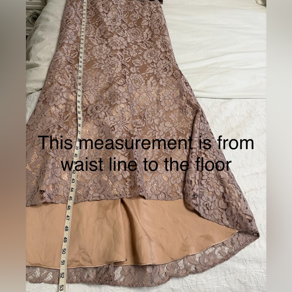 JS Collections Blush Color Lace Gown - Picture 11 of 16